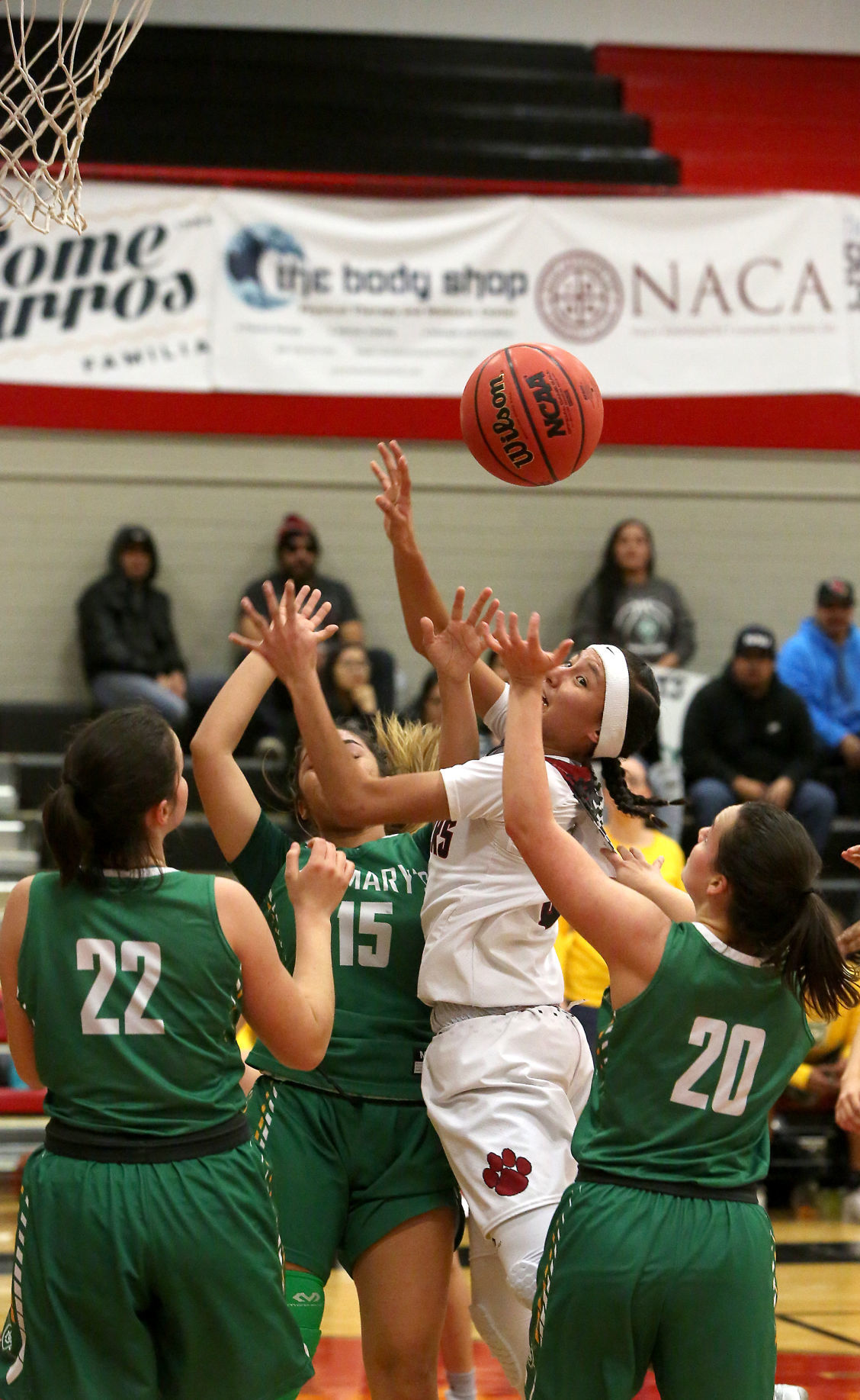 Coconino St. Mary's Basketball